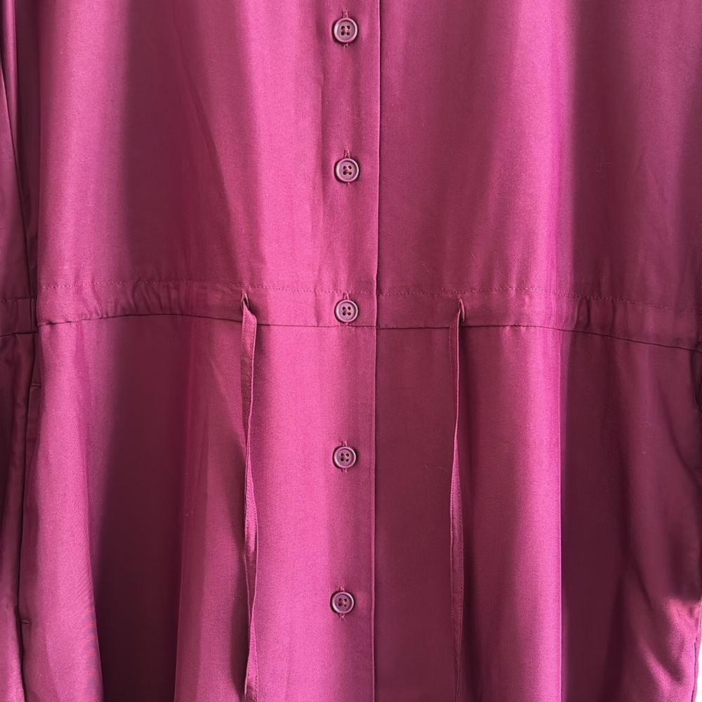 Uniqlo Women’s Button-Up Drawstring Waist Dress - Picture 10 of 16